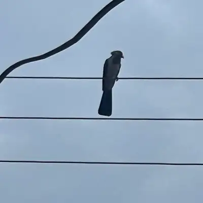 I