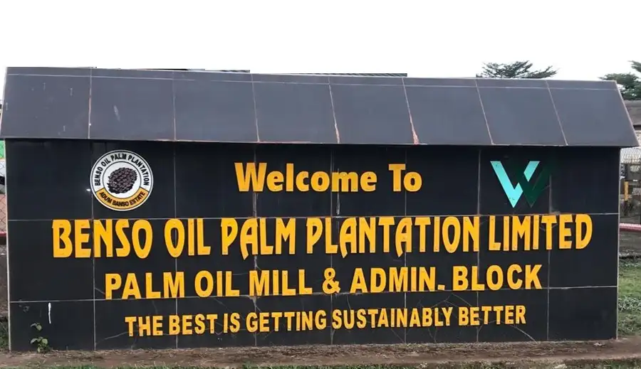Benso Oil Palm’s Half-Year Profit Falls 27% to GH¢46.56 Million as Revenue Declines