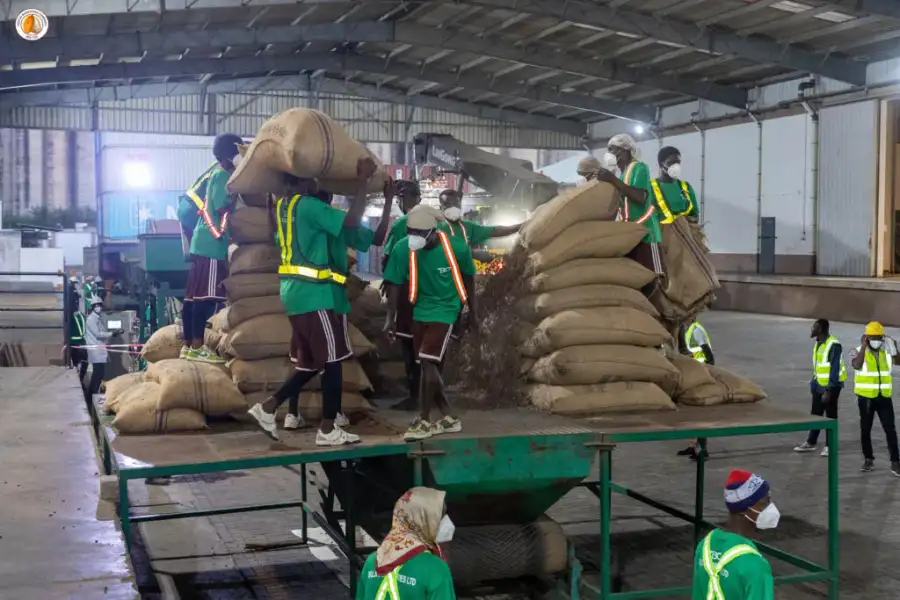 Cocoa Marketing Company (CMC) Goes 24-Hour to Speed Up Ghana’s Cocoa Exports
