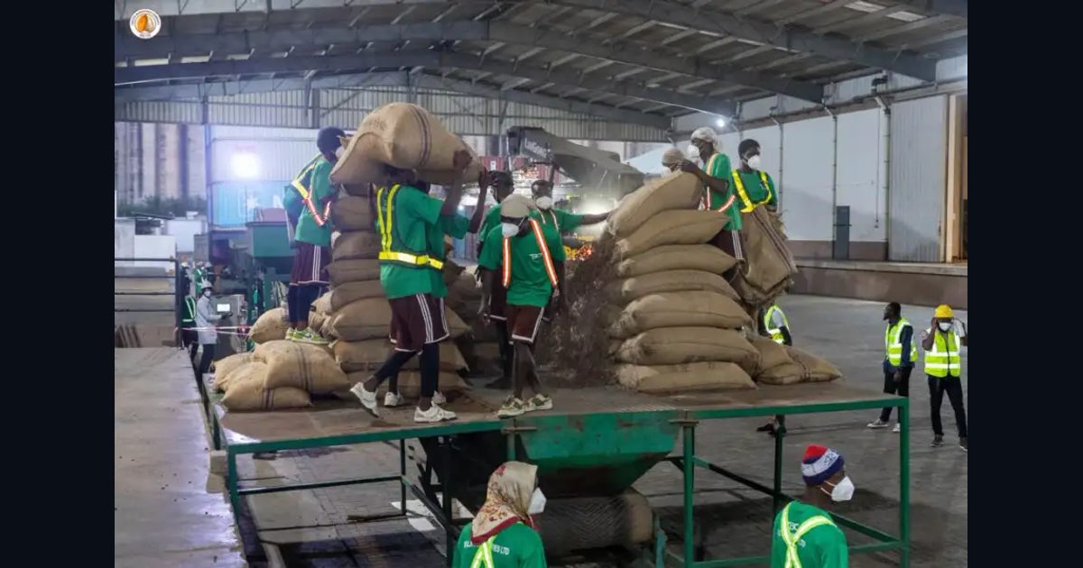 Cocoa Marketing Company (CMC) Goes 24-Hour to Speed Up Ghana’s Cocoa Exports